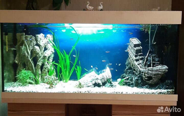 Атрибутика для аквариума