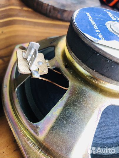 Динамики 20 гдш-106