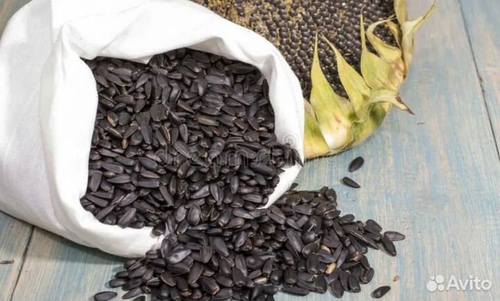 Услуги маслопресса (маслобойня)