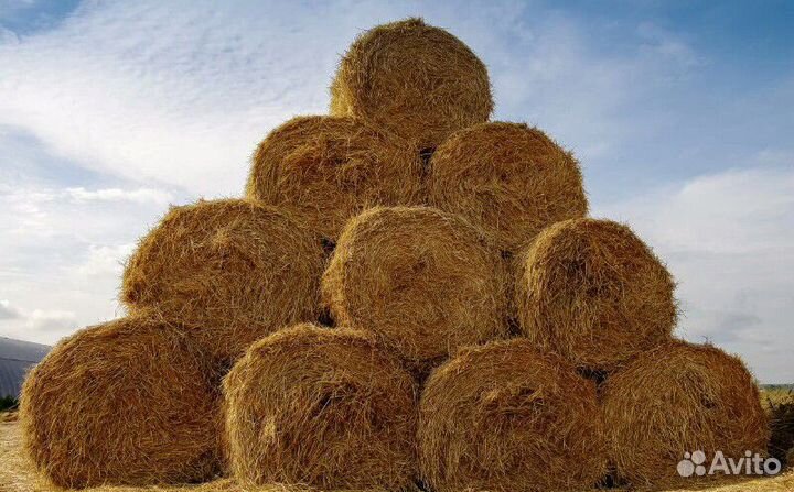 Солома в рулонах