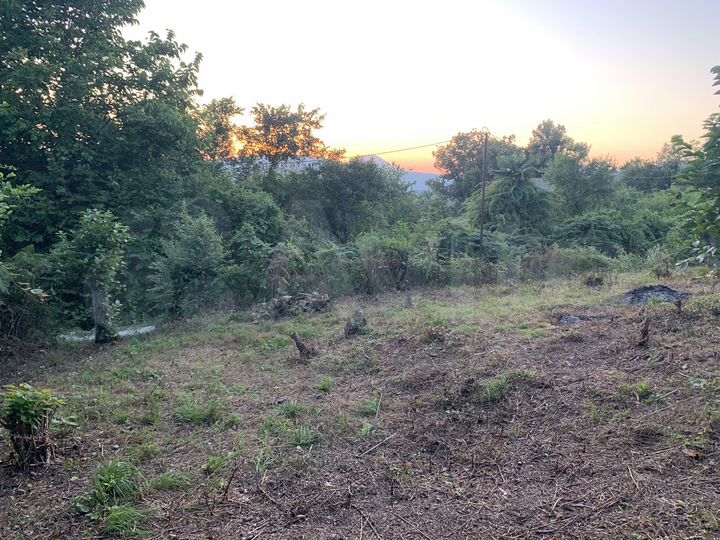 Участок 5,1 сот. (СНТ, ДНП)