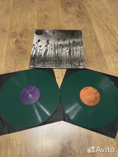 Dead Can Dance 