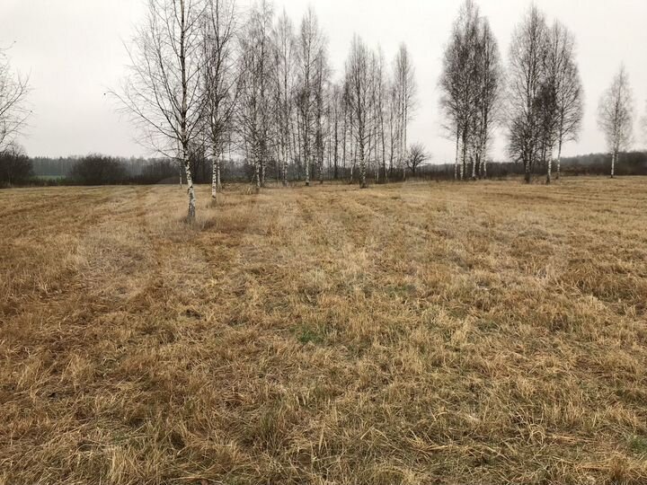 Участок 100 сот. (ИЖС)