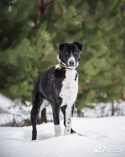 Герда в поисках семьи