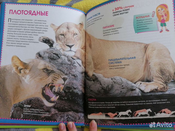 Детская энциклопедия