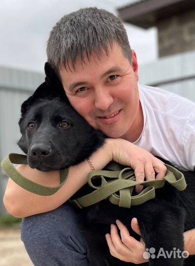 Кинолог, Зоопсихолог, Специалист по воспитанию