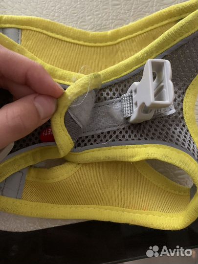 Шлейка для маленькой собаки