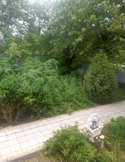 Дом 52 м² на участке 40 сот.