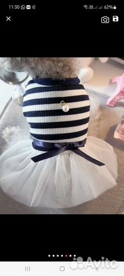 Платице для собаки