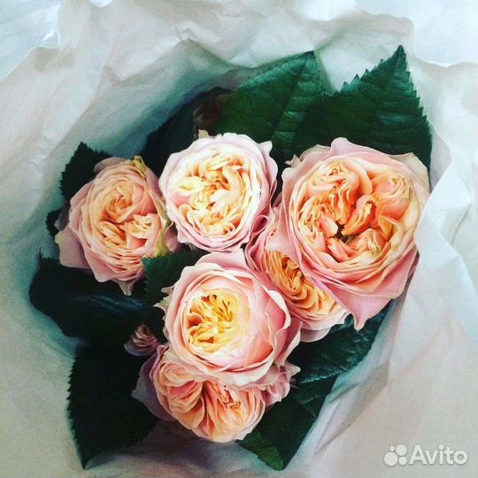 Цветы розы букет