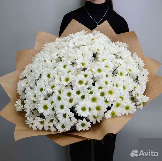 Хризантема Букет хризантем Доставка