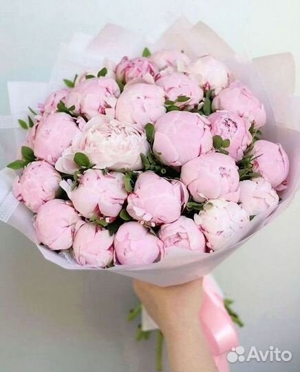 Пионы Букет пионов