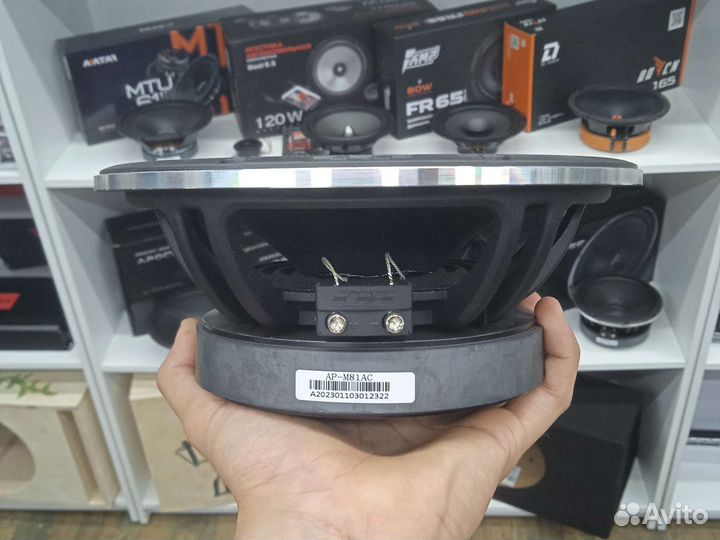 Динамики apocalypse sylvester ap-m81 ac