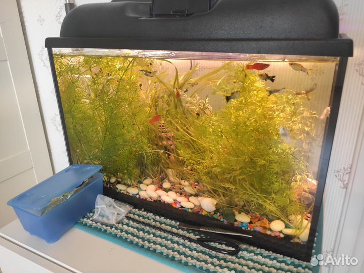 Аквариум
