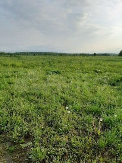 Участок 1,72 га (СНТ, ДНП)