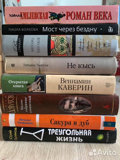 Книги современных авторов