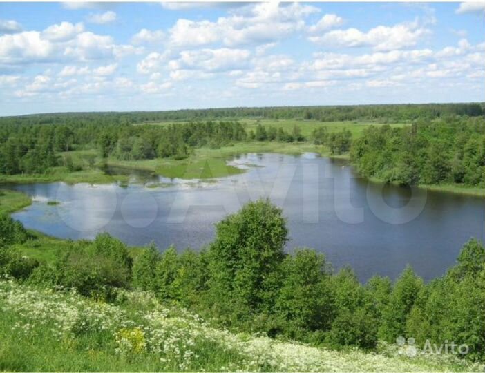 Участок 50 сот. (ИЖС)