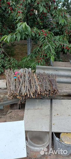 Хворост (сухие ветки)