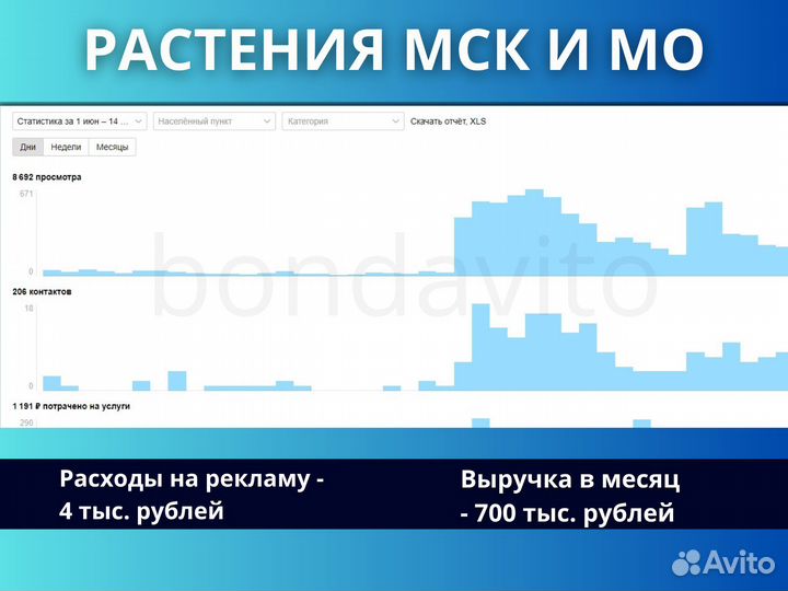 Авитолог / Продвижение на Авито / Услуги Авитолога