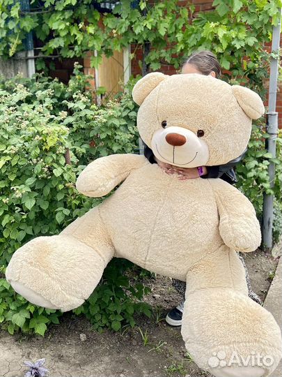 Большой плюшевый мишка