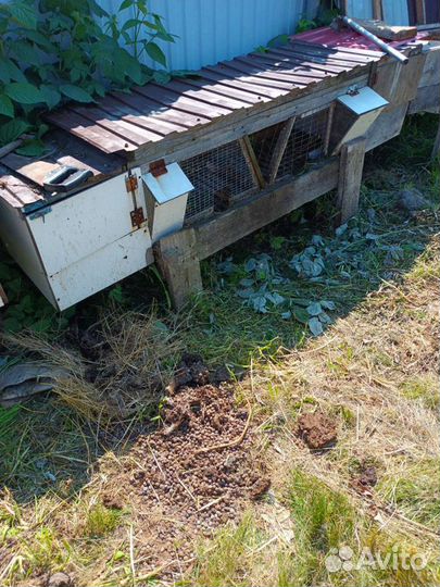 Клетки для кроликов бу