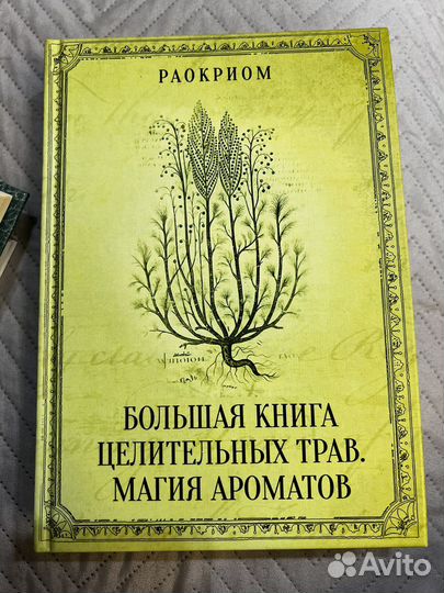 Большая книга целительных трав. Магия ароматов