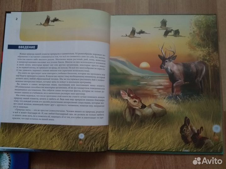 Энциклопедии серии Хочу всё знать