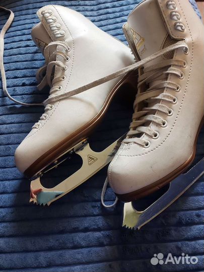 Фигурные коньки jackson Excel