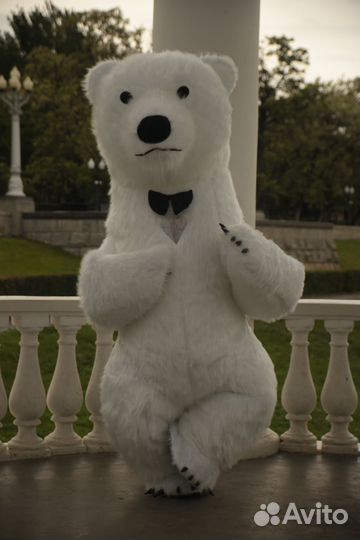 Белый Мишка, Ушастик, Мишка Тедди. (Поздравление)