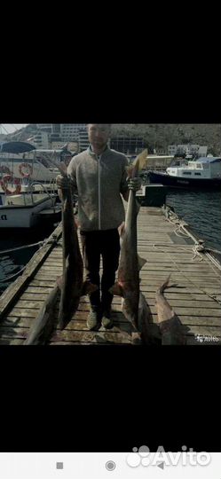 Акулий жир из печени(ската хвостокола)