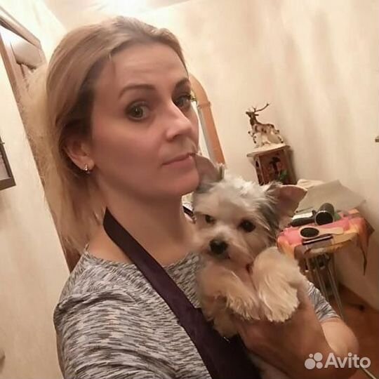 Стрижка кошек или котиков, собак. бесплатный выезд