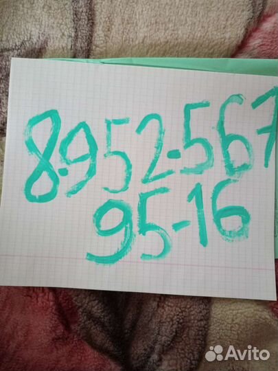 Кукушкино гнездо цветы комнатные