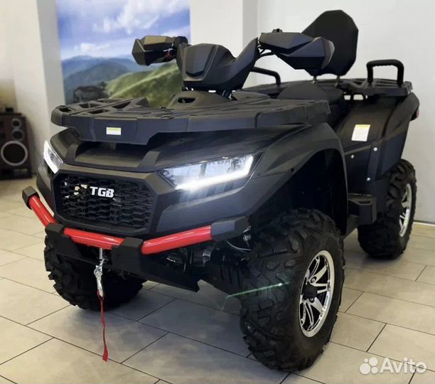 Взрослые квадроциклы мотовездеходы TGB