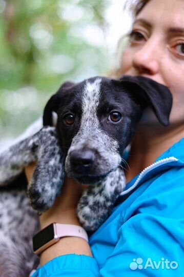 Помогите малышке