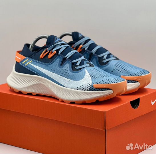 Кроссовки Nike Pegasus Trail 2 мужские c-7855