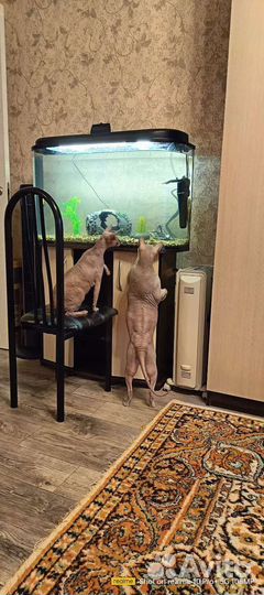 Аквариум с тумбой