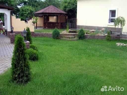 Рулонный газон /продажа/укладка