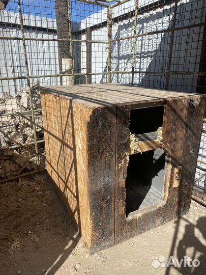 Клетка вольер для собак