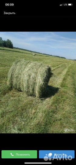 Сено 2023 в рулонах