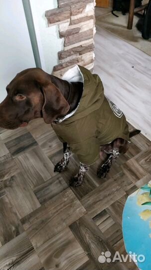 Куртка для собаки