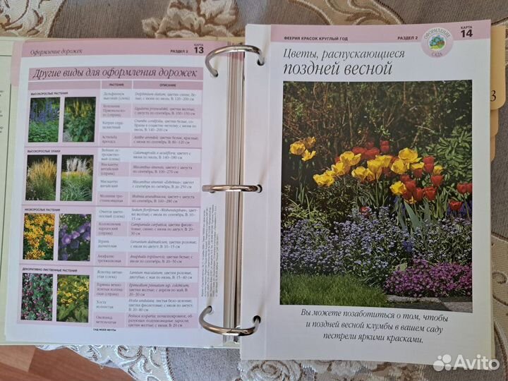 Энциклопедия Сад моей мечты
