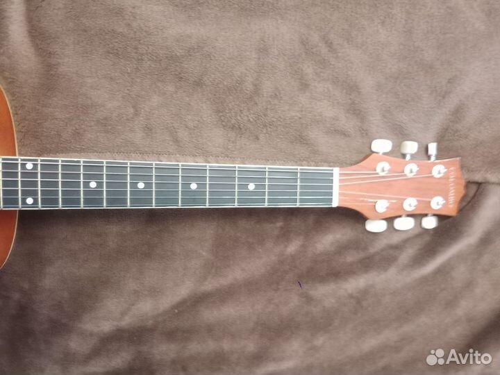 Гитара colombo