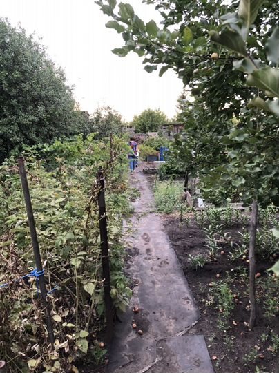 Дача 30 м² на участке 7,6 сот.