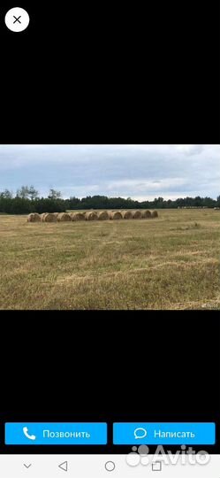 Сено в рулонах. 2023г
