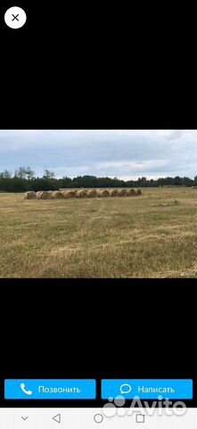 Сено в рулонах. 2023г