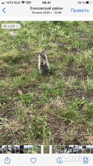 Джип тур Камчатка