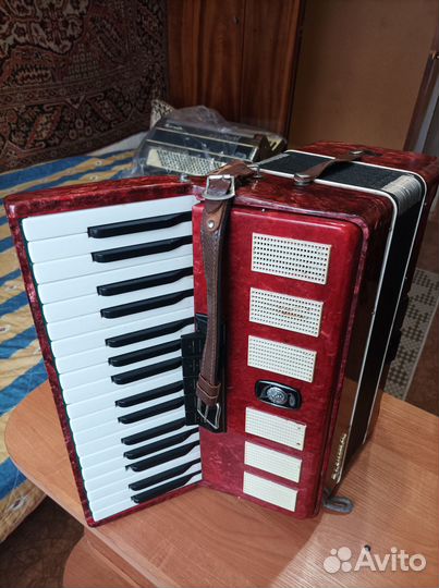 Аккордеон Сюита