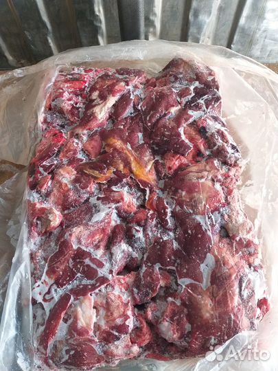 Мясо говяжьих голов (халяль)