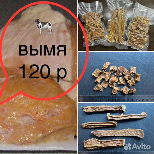 Лакомства для собак