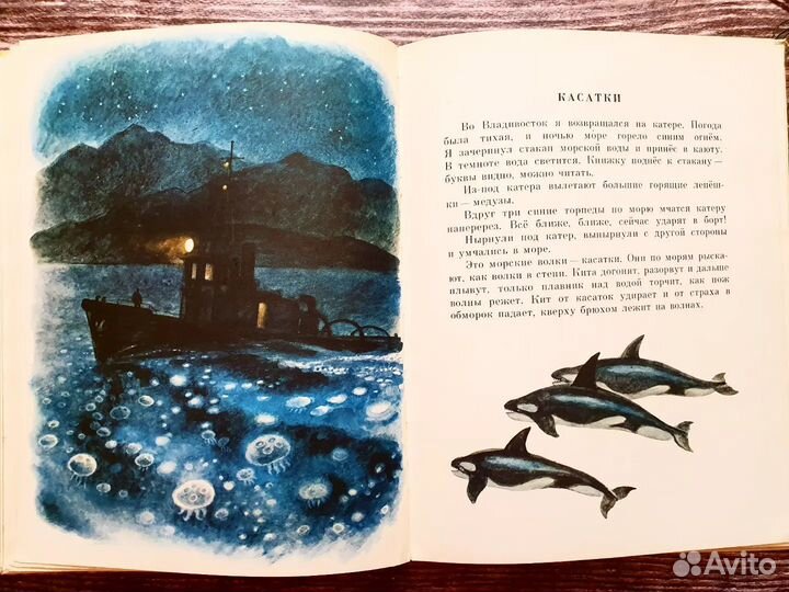 Снегирев. В разных краях 1981 г